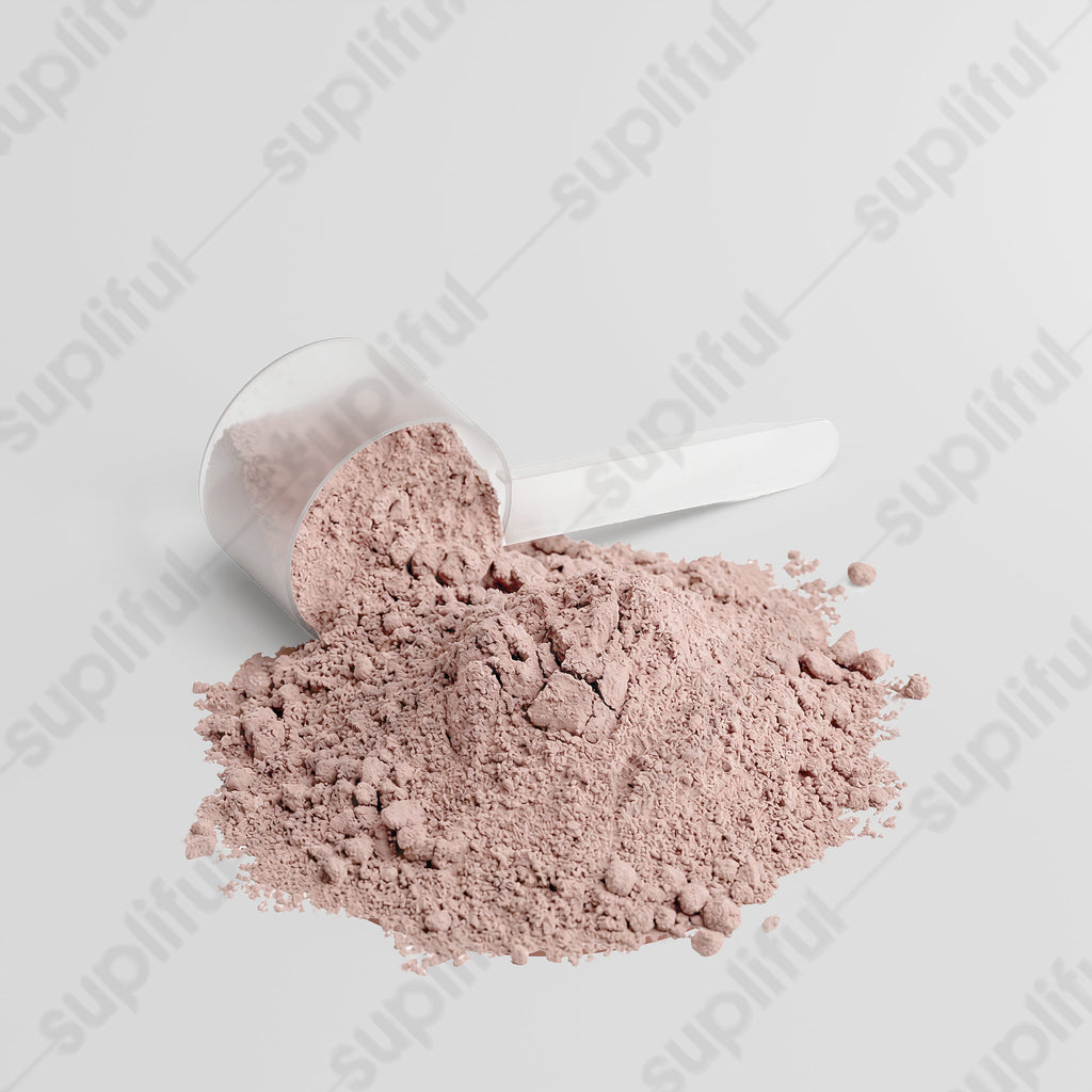 Advanced 100% Whey Protein Isolate (Chocolate)