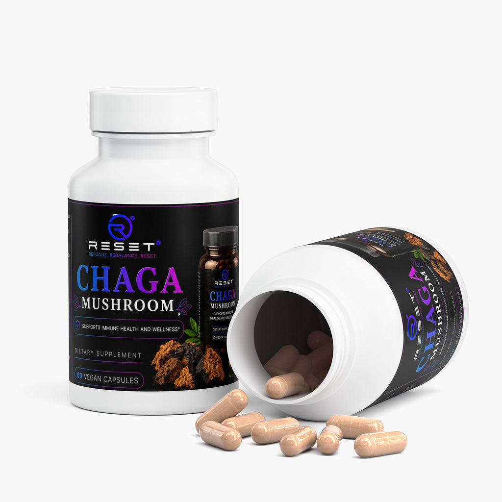 Chaga Mushroom